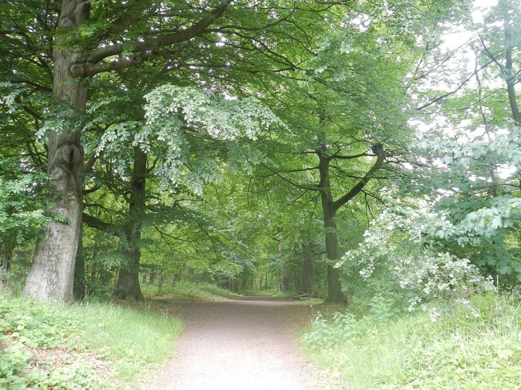 Het Onzichtbare Zichtbaar 2026 in Amstelveen