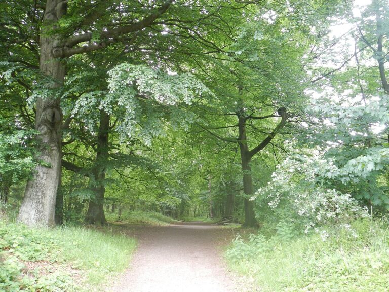 Het Onzichtbare Zichtbaar 2026 — Natuur in Amstelveen